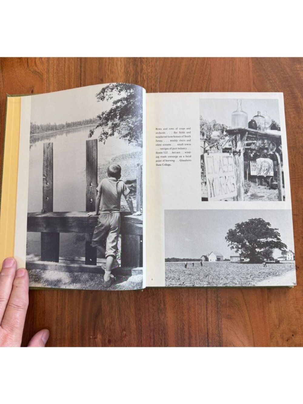 1965 Glassboro State College Yearbook NJ Oak Annual Vintage - Picture 4 of 7
